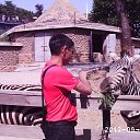 ���� ������, �����������, 53 ���� - ��������� 16 �������� 2013 � ������ ���� ����������