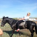  , , 67  -  11  2013   ,    .