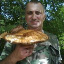 ���� ����, ����������, 53 ���� - ��������� 13 �������� 2013 � ������ ���� ����������