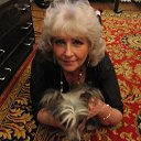   , --, 66  -  27  2014    