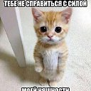 ���� ������, �������, 39 ��� - ��������� 23 ������� 2013 � ������ ������ ��������