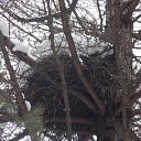 ����� �������� �� ������� ������� ���2014�