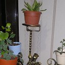 ���� ������, ���������, 48 ��� - ��������� 24 ������� 2014