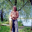 ���� ��������, �������, 66 ��� - ��������� 28 ������� 2013 � ������ ���� ����������