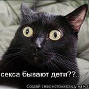 ���� ������ ���������, ��������, 49 ��� - ��������� 14 ������� 2014 � ������ ���� ����������