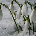 ���� ������� -------, ����������� - ��������� 28 ������� 2014 � ������ ������ ��������