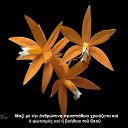 ���� Tatiana, ����������� - ��������� 5 �������� 2013 � ������ ���� ����������