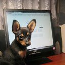 ���� Irina, ��������� - ��������� 10 ������ 2014 � ������ ������ʻ