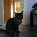 �������. �� ������� ���� ����������