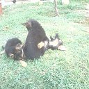 ���� Ismixan-705, ����, 50 ��� - ��������� 13 ����� 2014 � ������ ������ ��������
