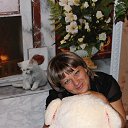 ���� �������, �������, 43 ���� - ��������� 23 �������� 2013 � ������ ���� ����������