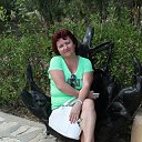 ���� �������, �������� - ��������� 20 ������ 2014 � ������ ���� ����������