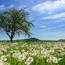 ���� �����, ������, 63 ���� - ��������� 6 �������� 2013 � ������ �� ���� �� �����