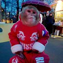  , -, 42  -  26  2013   