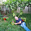 ���� ���� �� ������� �� ������� ����� ��� ������������