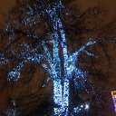 ���� M�����, ������ - ��������� 4 ������ 2014 � ������ ���� ����������