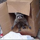 ���� ����, ��������, 22 ���� - ��������� 21 ������� 2013 � ������ ���� ����������