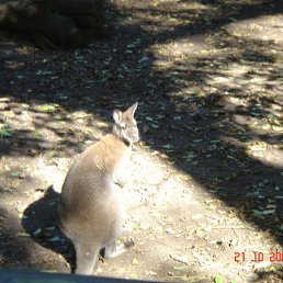 ���� ������, ������-��-����, 45 ��� - ��������� 11 ������� 2014