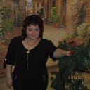 ���� �����, ���� - ��������� 15 ������� 2014