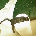 ���� �� �����,�� ������� 48, ����, 50 ��� - ��������� 28 �������� 2013 � ������ ���� ����������