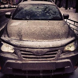 ���� Maksim, ������, 31 ��� - ��������� 5 ����� 2014
