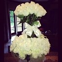 ���� ����, ������������ - ��������� 20 ������� 2013 � ������ ���� ����������