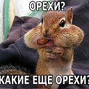 ���� �����, �������, 50 ��� - ��������� 23 ������� 2013 � ������ ���� ����������