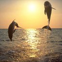���� �������, ���� - ��������� 9 ������� 2013 � ������ ������ ���������, ��� �������� ����� ������..................�