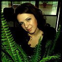 ���� ��������, �����, 35 ��� - ��������� 15 ������� 2013 � ������ ���� ����������