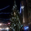 ���� M�����, ������ - ��������� 4 ������ 2014 � ������ ���� ����������