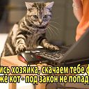 ���� �����, ������, 47 ��� - ��������� 15 ������ 2013 � ������ �.....�