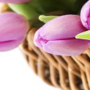 ���� �����, ���� - ��������� 9 ����� 2014 � ������ ���� ����������