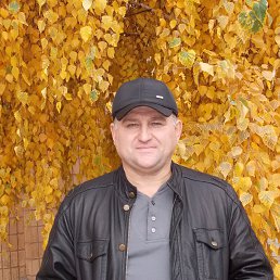 ���� ������, ��������, 64 ���� - ��������� 28 ������� 2013