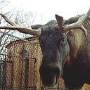 ���� Vladimir, ������, 58 ��� - ��������� 13 �������� 2013 � ������ ���� ����������