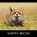 ���� �������, ��������, 51 ��� - ��������� 28 ������� 2014 � ������ ������ ��������