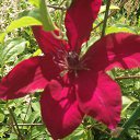 ���� �������, ������� - ��������� 28 ������� 2014 � ������ ������ ��������