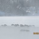 ���� ������, ��������� - ��������� 17 ������� 2014 � ������ ���� ����������