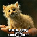 ���� �����, ������, 61 ��� - ��������� 22 ������� 2013