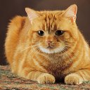 ���� ������, ������������ - ��������� 20 ������� 2013 � ������ ���� ����������