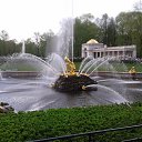 ���� ��������, �����-���������, 39 ��� - ��������� 5 ������� 2013 � ������ ���