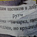 ���� ������ ���������, ��������, 49 ��� - ��������� 14 ������� 2014 � ������ ���� ����������