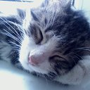 ���� ����, ��������������, 67 ��� - ��������� 28 �������� 2013 � ������ ���� ����������