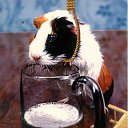 ���� �����, ��������, 40 ��� - ��������� 26 ������ 2013 � ������ ���� ����������