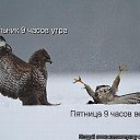 ���� �����, �����������, 58 ��� - ��������� 19 �������� 2013 � ������ ���� ����������