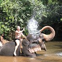 ���� ���������, ������������, 51 ��� - ��������� 24 ������ 2013 � ������ ���� ����������