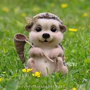 ���� �������, ������ �������� - ��������� 14 ������ 2013 � ������ ���� ����������