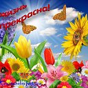 ���� �������, �����-��������� - ��������� 26 ������� 2014 � ������ ���� ���� �� �����