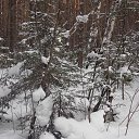 ����� �������� �� ������� ������� ���2014�