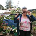 ���� ����, ��������� - ��������� 16 ������ 2013 � ������ ���� ����������