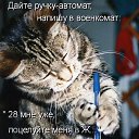 ���� ����, ������ - ��������� 5 ������� 2013 � ������ ���� ����������